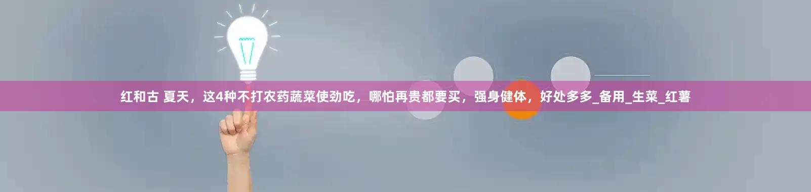 红和古 夏天，这4种不打农药蔬菜使劲吃，哪怕再贵都要买，强身健体，好处多多_备用_生菜_红薯