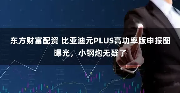 东方财富配资 比亚迪元PLUS高功率版申报图曝光，小钢炮无疑了