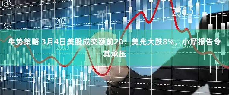 牛势策略 3月4日美股成交额前20：美光大跌8%，小摩报告令其承压